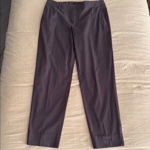 Elegant Purple Women's Pants